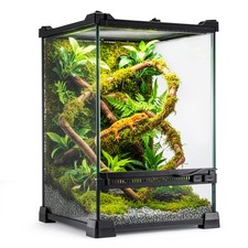 Glass reptile terrarium - glass, insect