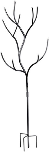 Evergreen garden glass bottle - evergreen,