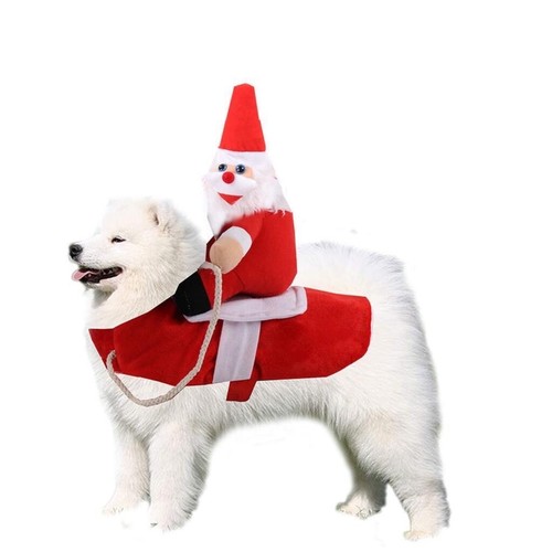 Pet dog cat - pet,