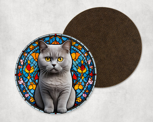 British shorthair cat - cat, kitten