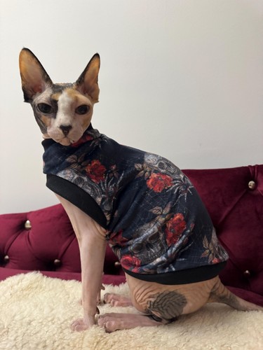 Squish velour velvet - , sphynx