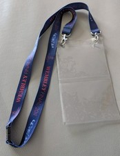 2011 Champions League Final