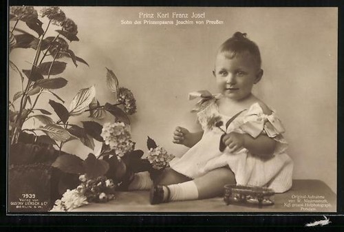 Prince karl franz josef son - karl,