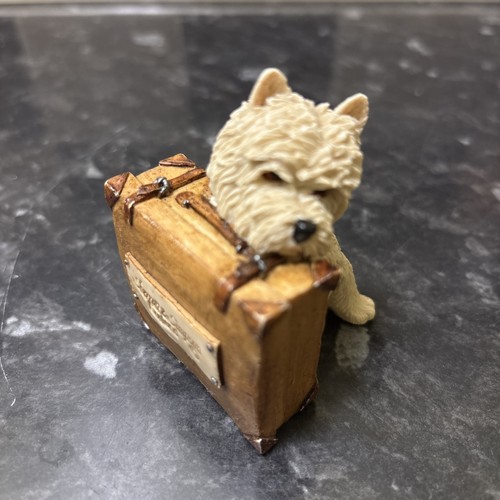 Sherratt simpson westie dog - sherratt,
