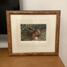Framed Signed Limited Edition Red Squirrel Print “Nuts” By David Shepherd OBE