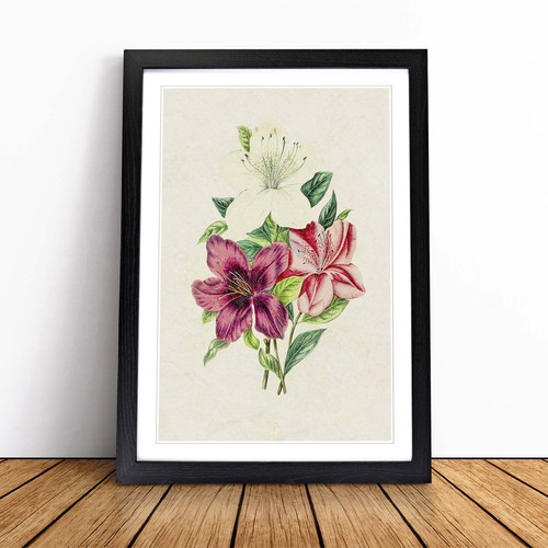 Illustration beautiful - of,