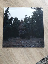 Merrow and xiu - xiu, vinyl