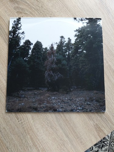 Merrow and xiu - vinyl, lp