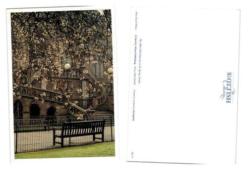 Postcard albert hall - albert,