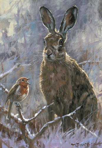 Hare robin christmas cards - &,