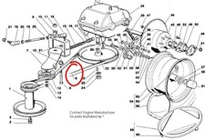 CASTEL GARDEN MOUNTFIELD