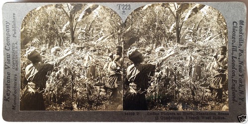 Keystone stereoview coffee - stereoview,