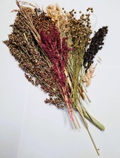 Millet Spray Bundle 300g, for Birds & Small Animals - Hamsters, Mice, Rats etc