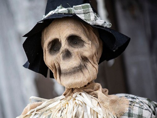 Halloween animated scarecrow - halloween,