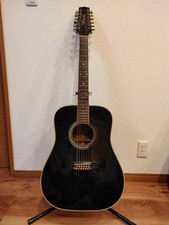 Takamine 12 string guitar