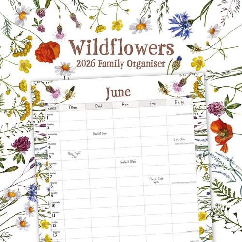 Wildflowers illustrated family - illustrated,