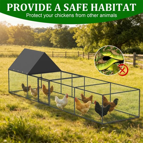 Walk chicken coop - walk-in, cage
