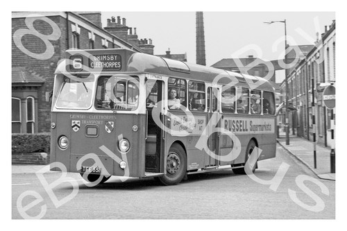 Bus photograph - bus,
