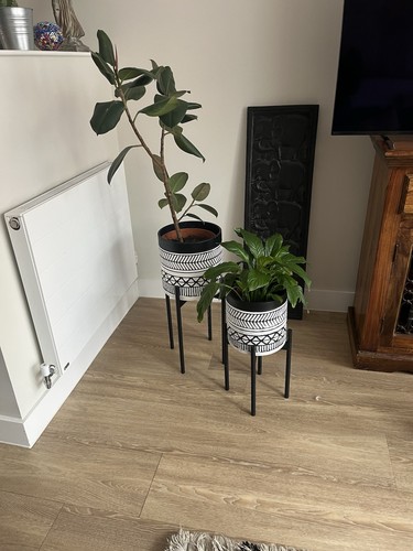 Pair cox standing - pair, &