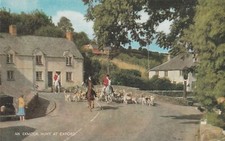 EXMOOR HUNT AT EXFORD, Devon, Horses - Vintage POSTCARD