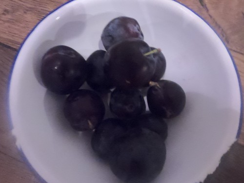 English grown grafted plum - english,