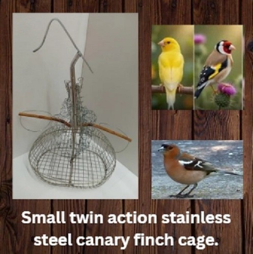 Goldfinch canary steel - , twin