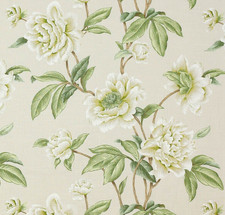 COLEFAX AND FOWLER CURTAIN