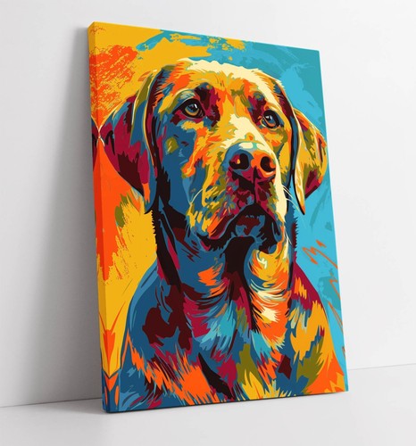 Multi colour portrait - colour,