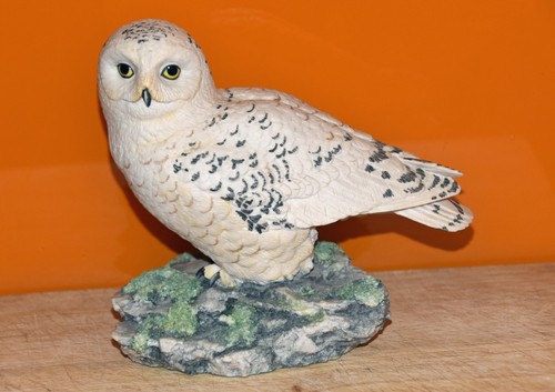 Border fine arts snowy owl - arts,
