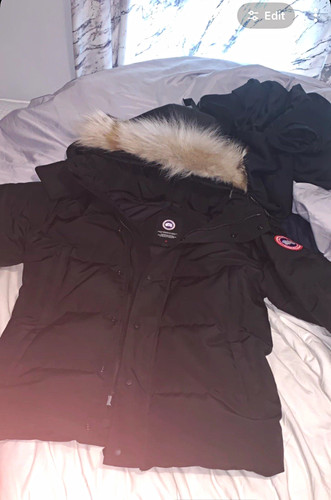 Canada goose black - canada,
