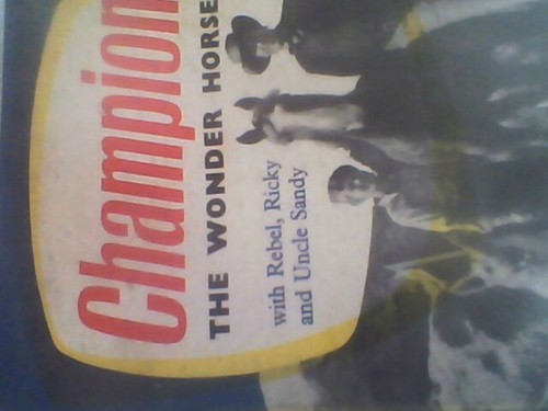Champion the wonder horse - champion,