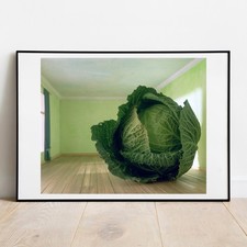 Art print Magritte inspired Cabbage by Norman Hollands fine art print wall art