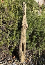 68cm WEATHERED CHARACTER DRIFTWOOD Sea Wood Hollow Fairy Castle Display Florist