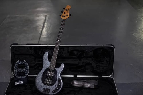 Ernie ball music man stingray - ernie,