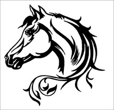 Horse Head large vinyl sticker car van lorry window decal bonnet campervan D3