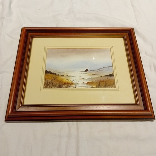 Tom mason watercolour painting - tom,
