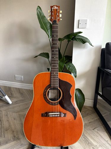 Eko ranger string - vi, 6-string