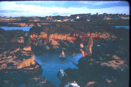 35mm slide 1961 boys sailing - 1961,