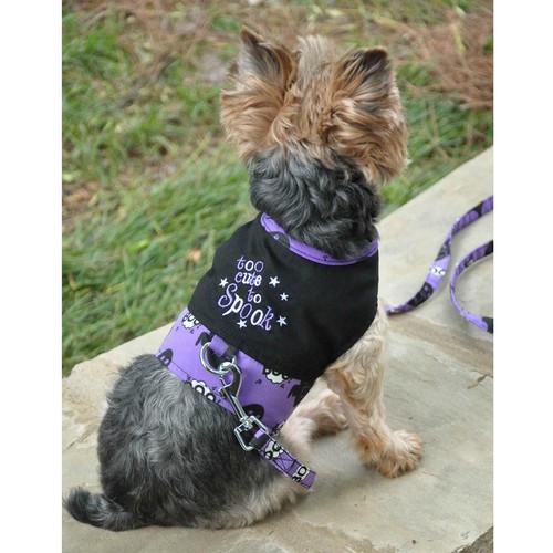 Halloween dog harness - dog,