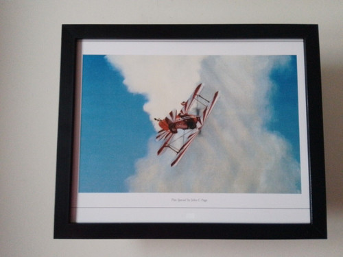 Aircraft print pitts special - print, 'pitts
