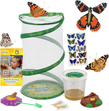 Butterfly Garden Gift Set 8"