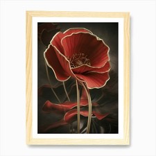 Red Poppy Canvas Print Art