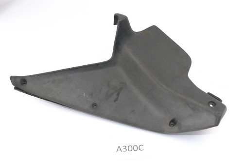 Aprilia etv 1000 capo - aprilia, nord