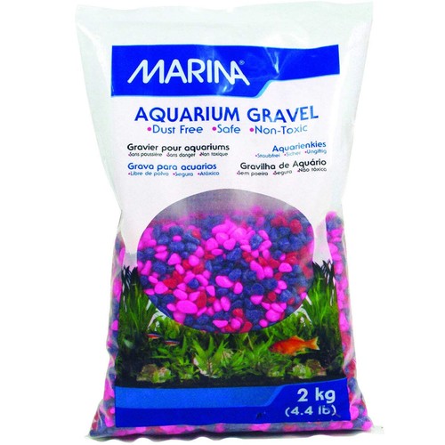 2kg marina jelly - jelly, bean