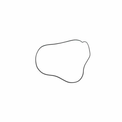 Clutch cover gasket - gasket, ktm