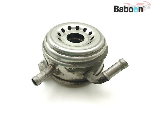 Oil cooler honda cbr - oil, (engine)