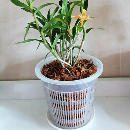 Clear mesh orchid - clear,