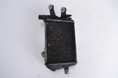 Left side radiator bmw 1200 - bmw, r
