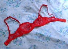 BNWOT Agent Provocateur 32A Classic RED Lace Underwired Bra Shazam