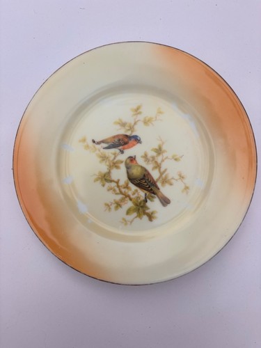 Vintage victoria china - vintage,